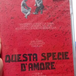 Questa specie d’amore